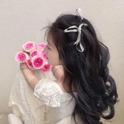 是咁的，法官阁下粤语